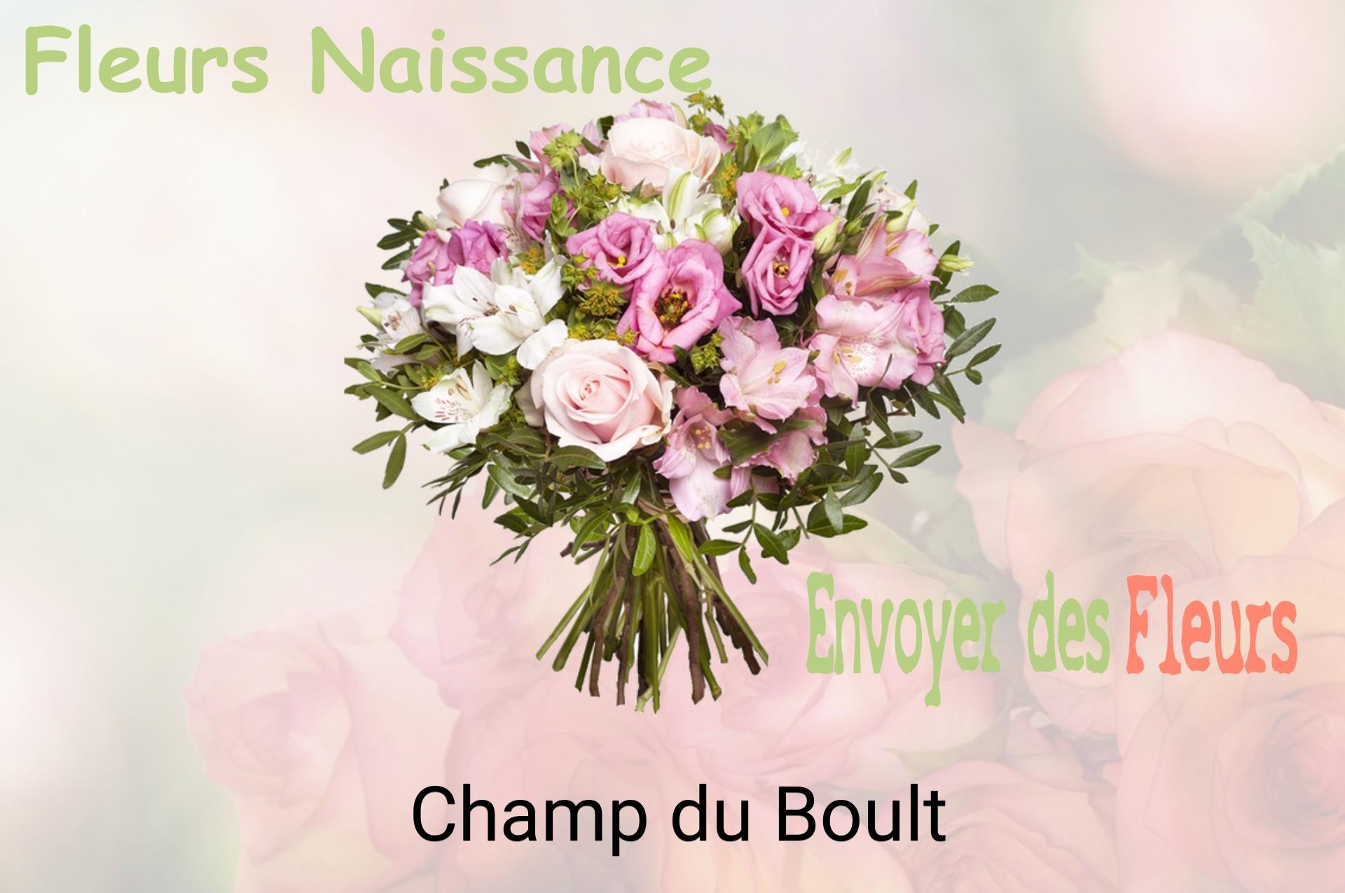 Bouquet de fleurs de naissance livré à Champ-du-Boult